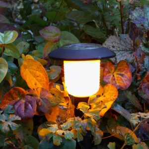 img of a solar light