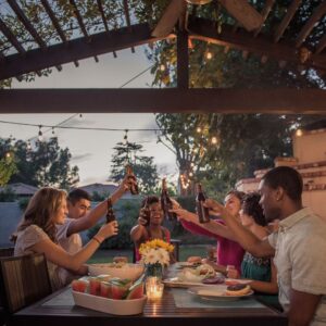 A group of friends cheers drinks at an outdoor patio table in someone's backyard.