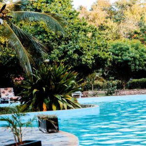 pool with landscaping